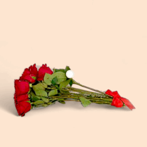 Flower 1