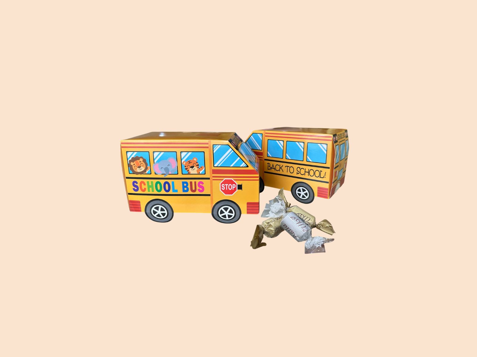 Back To School BX240005A