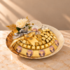 Chocolate Tray TR2600254